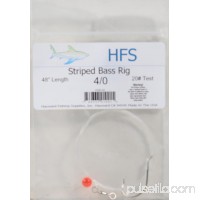 Hayward Striped Bass Rig   564772255